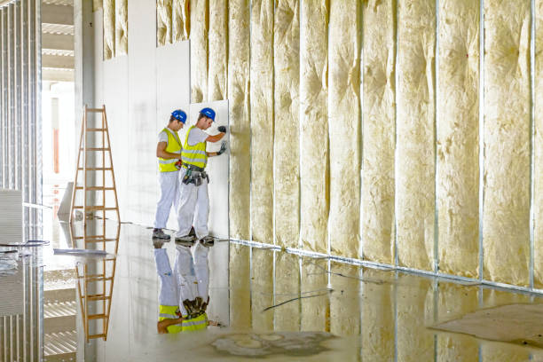 Best Eco-Friendly or Green Insulation Solutions  in Smithville, TX